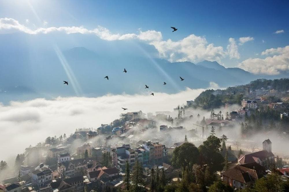 Th&aacute;ng 11 đến th&aacute;ng 04 năm sau l&agrave; thời điểm l&yacute; tưởng để kh&aacute;m ph&aacute; L&acirc;m Đồng.